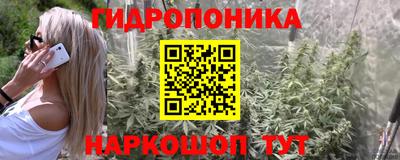 герыч Лесосибирск