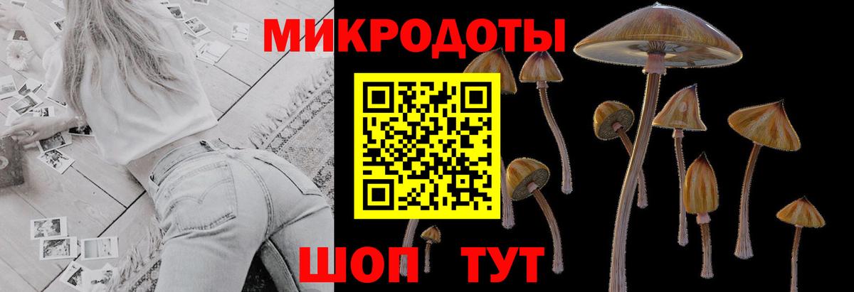 Галлюциногенные грибы Psilocybine cubensis Иваново